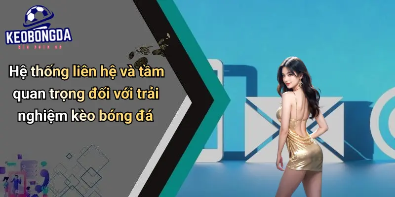 Liên hệ 4 Liên Hệ