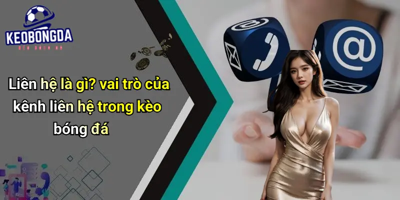 Liên hệ 1 Liên Hệ