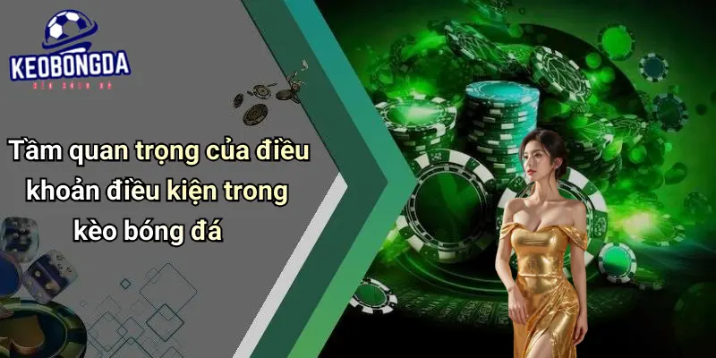 Điều khoản điều kiện 1 Điều Khoản Điều Kiện