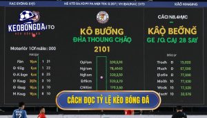 Cách đọc tỷ lệ kèo bóng đá