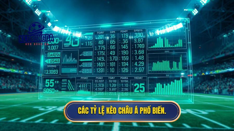 2. Các tỷ lệ kèo Châu Á phổ biến.