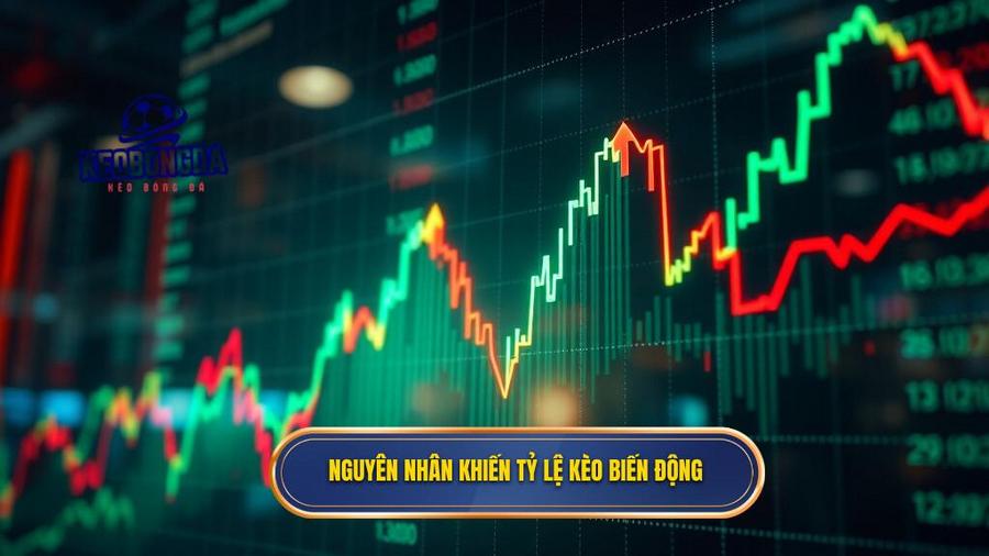 Nguyên nhân khiến tỷ lệ kèo biến động