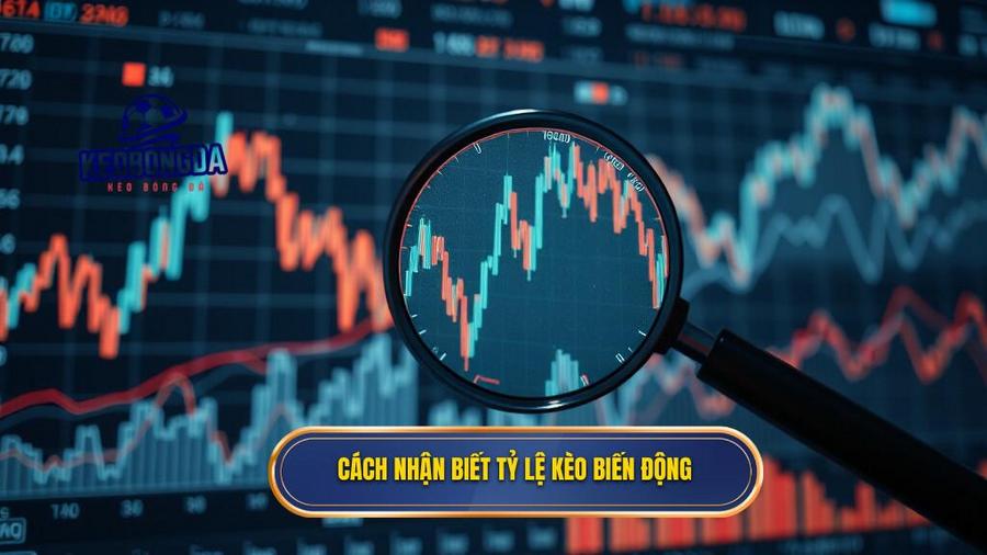 Cách nhận biết tỷ lệ kèo biến động