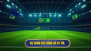 dự đoán kèo bóng đá