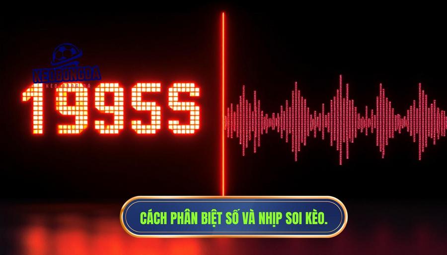 Phân biệt giữa "Số" và "Nhịp" trong soi kèo
